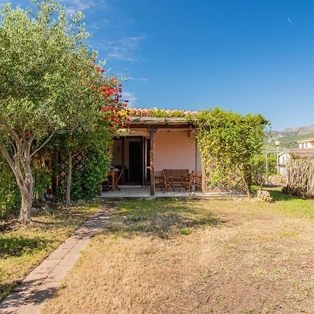 Appartamento Trilocale Le Canne 4 Posti Letto Con Giardino E Posto Auto Privato San Teodoro  Extérieur photo